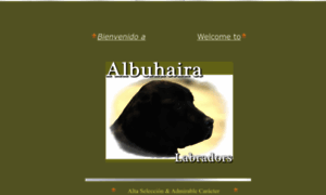 Albuhaira-labradors.com thumbnail