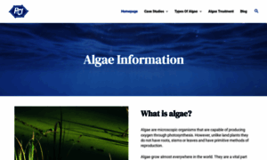 Algae.info thumbnail