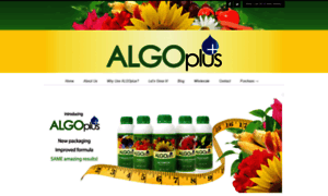 Algoplus.net thumbnail