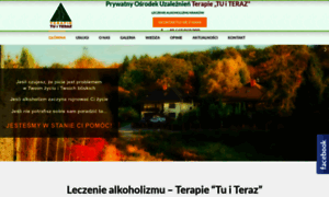 Alkoholizm.org.pl thumbnail