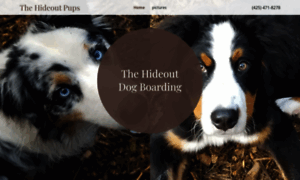 Allaboutdogsboarding.com thumbnail