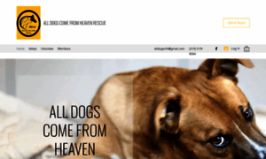 Alldogscomefromheaven.com thumbnail