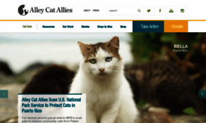 Alleycat.org thumbnail