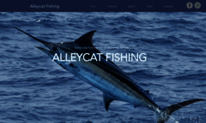 Alleycatfishing.com thumbnail