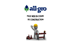 Allgro-ci.com thumbnail