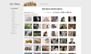 Allphoto.in.ua thumbnail