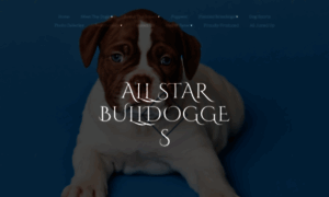 Allstarbulldogges.com thumbnail