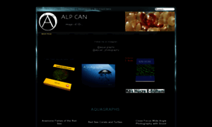 Alpcan.com thumbnail