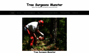 Alpinetreesurgeonsmunster.com thumbnail