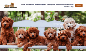 Alreadytrainedaustralianlabradoodles.com thumbnail