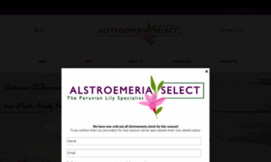 Alstroemeriaselect.co.uk thumbnail