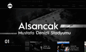 Altay.org.tr thumbnail