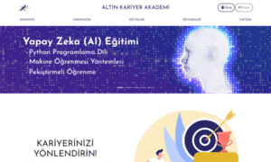 Altinkariyerakademi.com thumbnail