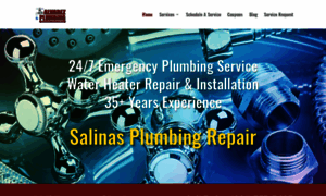 Alvarezplumbingsalinas.com thumbnail