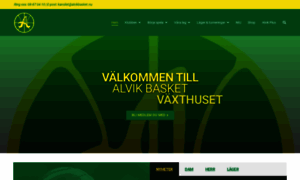 Alvikbasket.nu thumbnail