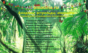 Amadina.ru thumbnail