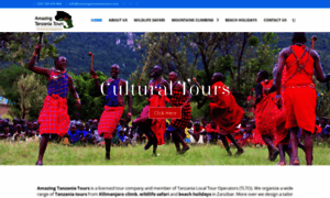 Amazingtanzaniatours.com thumbnail