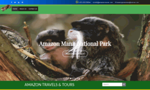 Amazon-travels.com thumbnail