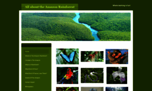 Amazonrainforestjpm.weebly.com thumbnail