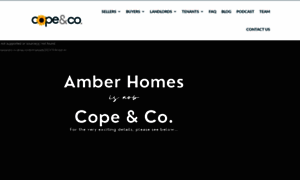 Amber-homes.co.uk thumbnail