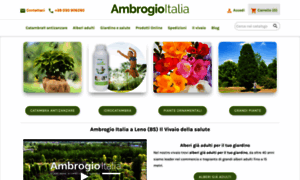 Ambrogioitalia.com thumbnail