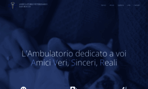 Ambulatorioveterinariosanrocco.it thumbnail