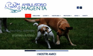 Ambulatorioveterinariotorino.com thumbnail