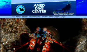 Ameddivecenter.com thumbnail