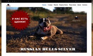 American-bully.ru thumbnail