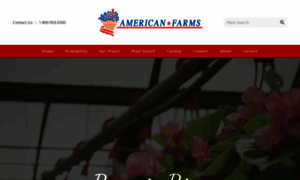 American-farms.com thumbnail