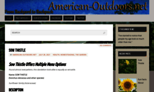 American-outdoors.net thumbnail