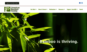 Americanbamboo.org thumbnail