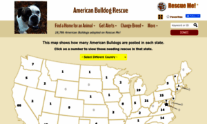 Americanbulldog.rescueme.org thumbnail