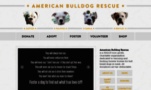 Americanbulldogrescue.org thumbnail