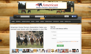 Americanhorseownersassociation.com thumbnail