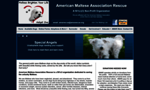 Americanmalteserescue.org thumbnail