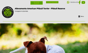 Americanpitbull.it thumbnail