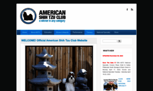 Americanshihtzuclub.org thumbnail