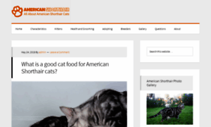 Americanshorthair.org thumbnail