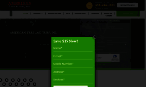 Americantreeandturf.com thumbnail