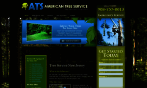 Americantreeservice.biz thumbnail