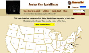 Americanwaterspaniel.rescueme.org thumbnail