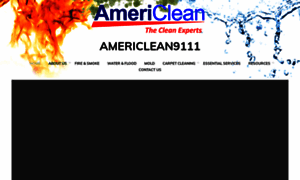 Americlean9111.com thumbnail