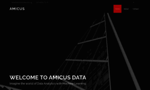 Amicusdata.sg thumbnail