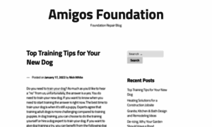 Amigosfoundation.org thumbnail
