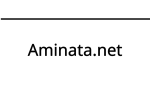 Aminata.net thumbnail