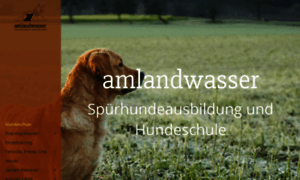 Amlandwasser.de thumbnail