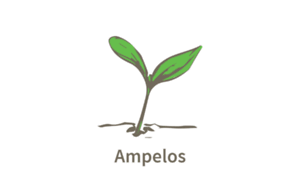 Ampelos.io thumbnail