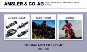 Amsler.ch thumbnail