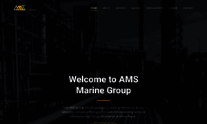 Amsmarinegroup.com thumbnail